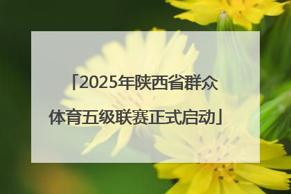 2025年陕西省群众体育五级联赛正式启动