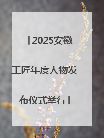 2025安徽工匠年度人物发布仪式举行