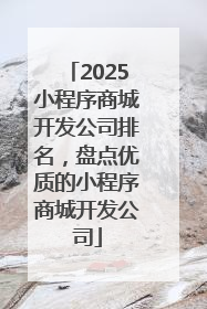 2025小程序商城开发公司排名,盘点优质的小程序商城开发公司