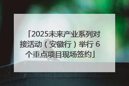 2025未来产业系列对接活动（安徽行）举行 6个重点项目现场签约