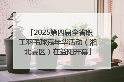 2025第四届全省职工羽毛球嘉年华活动（湘北赛区）在益阳开幕