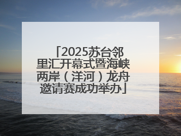 2025苏台邻里汇开幕式暨海峡两岸（洋河）龙舟邀请赛成功举办