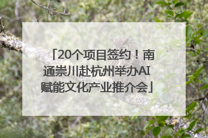 20个项目签约！南通崇川赴杭州举办AI赋能文化产业推介会