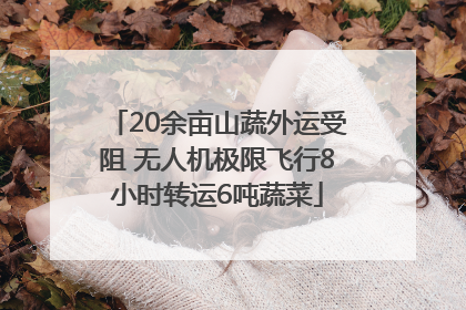 20余亩山蔬外运受阻 无人机极限飞行8小时转运6吨蔬菜