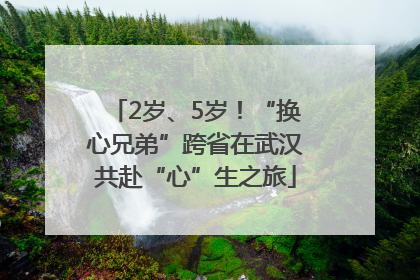 2岁、5岁！“换心兄弟”跨省在武汉共赴“心”生之旅