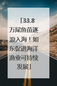 33.8万尾鱼苗逐浪入海！如东促进海洋渔业可持续发展