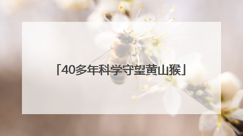 40多年科学守望黄山猴