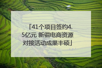 41个项目签约4.5亿元 新疆电商资源对接活动成果丰硕