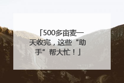 500多亩麦一天收完，这些“助手”帮大忙！