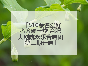 510余名爱好者齐聚一堂 合肥大剧院欢乐合唱团第二期开唱