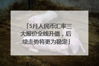 5月人民币汇率三大报价全线升值，后续走势将更为稳定
