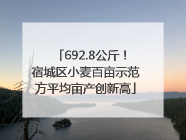 692.8公斤！宿城区小麦百亩示范方平均亩产创新高