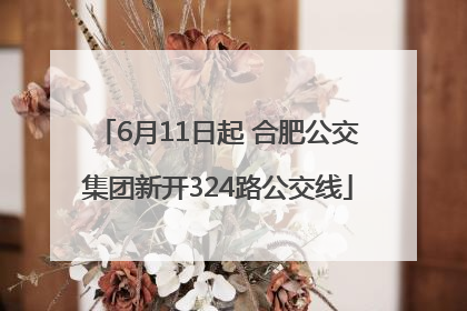 6月11日起 合肥公交集团新开324路公交线