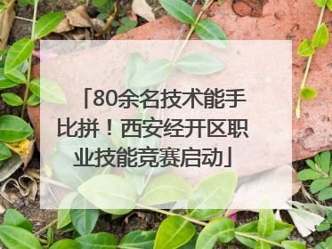 80余名技术能手比拼！西安经开区职业技能竞赛启动