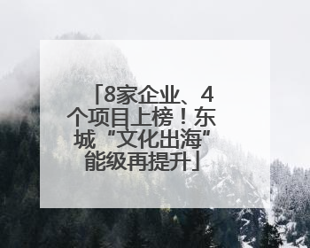 8家企业、4个项目上榜！东城“文化出海”能级再提升