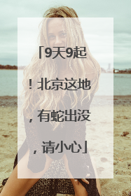 9天9起！北京这地，有蛇出没，请小心