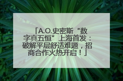 A.O.史密斯“数字真五恒”上海首发：破解平层舒适难题，招商合作火热开启！