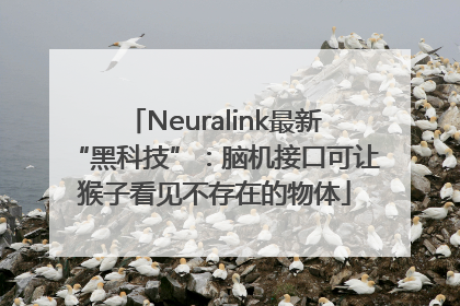 Neuralink最新“黑科技”：脑机接口可让猴子看见不存在的物体