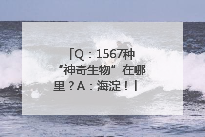 Q：1567种“神奇生物”在哪里？A：海淀！